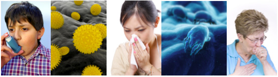 INDOOR AIR QUALITY