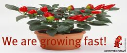 We are growing fast