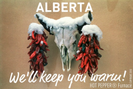 We will keep you warm!